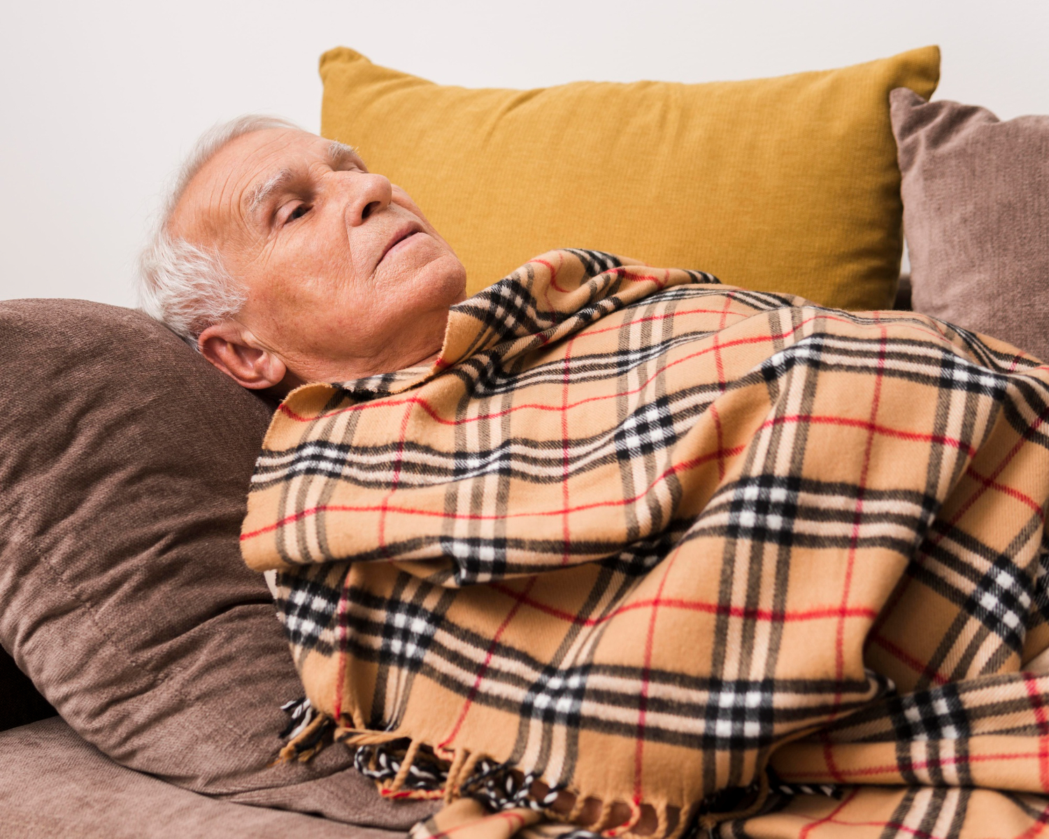 AML Cultural recebe palestra gratuita sobre Alzheimer e cuidados paliativos em Londrina